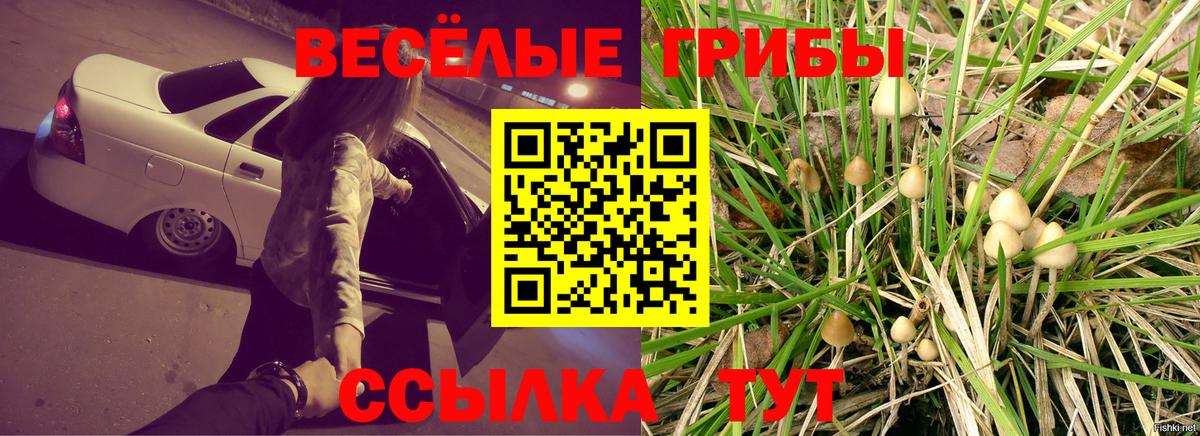 Галлюциногенные грибы мицелий Шали