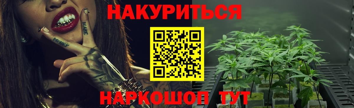Каннабис Amnesia  Каннабис конопля  Шали  Каннабис планчик  Вход с VPN 