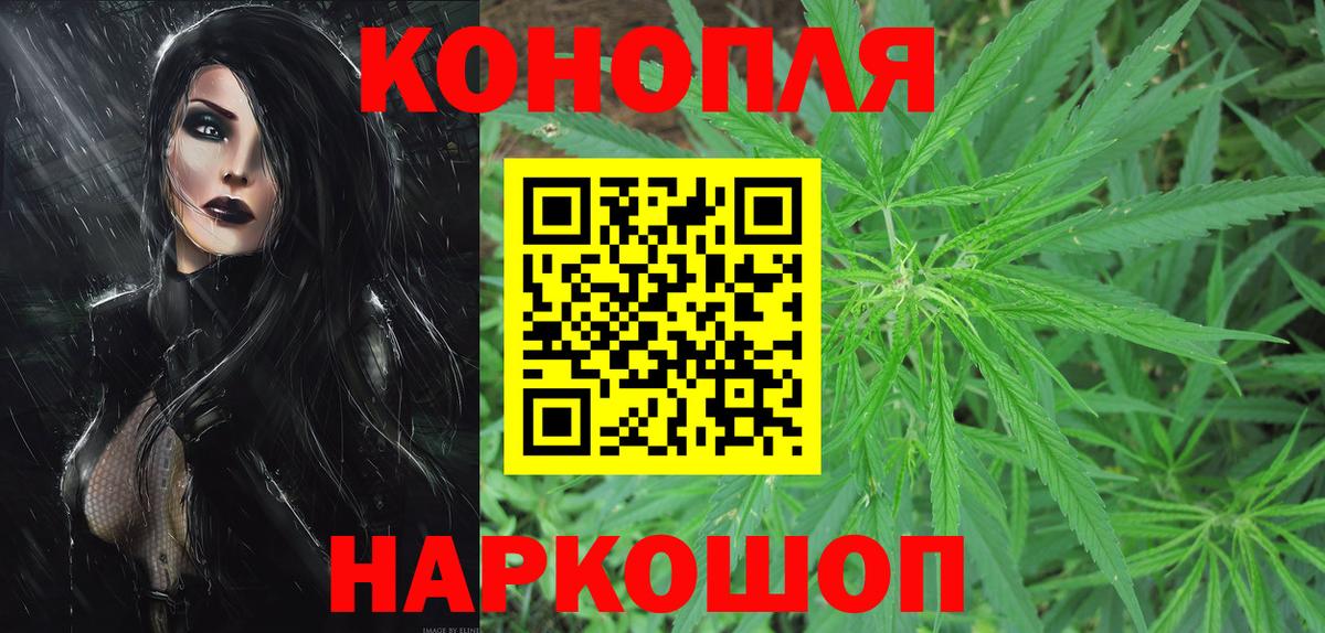 Бошки Шишки гибрид Шали